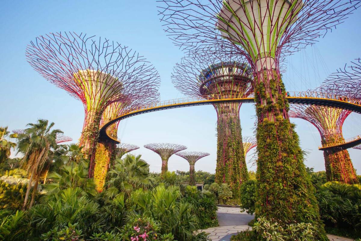 Lush vertical gardens of the Supertree structures in Singapore’s Gardens by the Bay